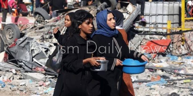 الخبيزة وجبة الفقراء اللذيذة يشتهيها الأغنياء