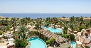 بسبب حرب غزة وتأثيراتها على السياحة .. 820 مليون دولار من صندوق النقد لمصر