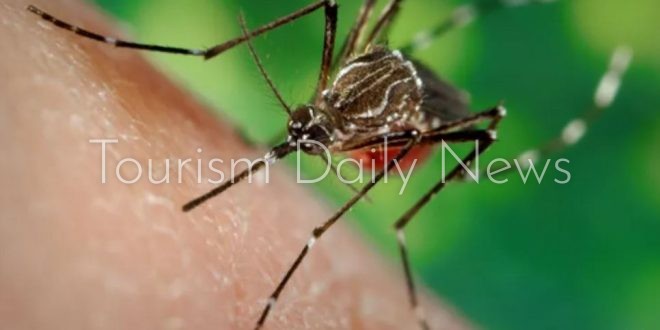 الصحة العالمية تحذر من أسوأ موسم لحمّى الضنك على الإطلاق بأمريكا اللاتينية
