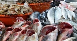 تحركات لفرملة الأسعار .. بوادر نجاح لحملة مقاطعة شراء الأسماك بالغردقة