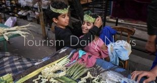 زعف النخيل ينتشر بنجع حمادي احتفالاً بـ أحد الشعانين