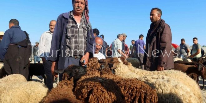 أضحية العيد مرتبطة بالاستطاعة