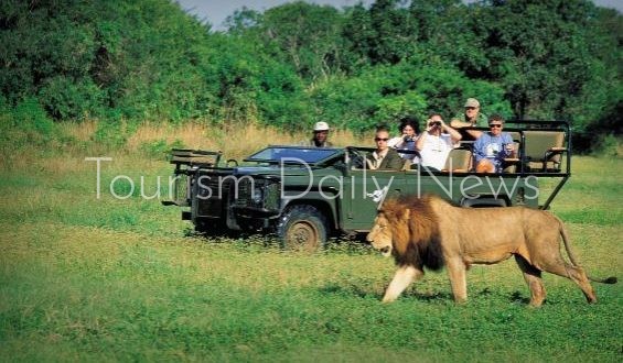 السياحة الأفريقية