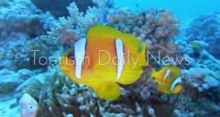 سياحة الغوص .. جدة عروس البحر الأحمر طبيعة خلَّابة