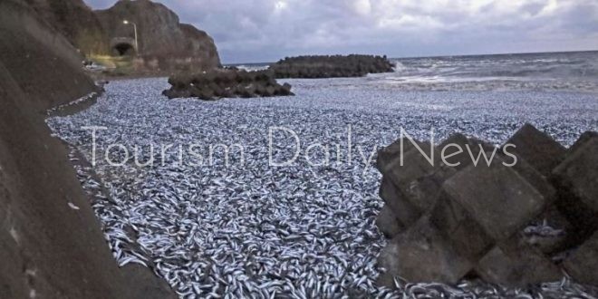 نفوق آلاف الأطنان من الأسماك بعد جفاف إحدى البحيرات في شمال المكسيك