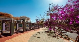 12 وجهة استثنائية في عسير السعودية تنتظر السياح في إجازة العيد