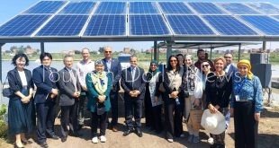 12دولة أفريقية تشارك في البرنامج التدريبي لتنمية المزارع السمكية