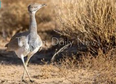 محمية الإمام عبدالعزيز بن محمد الملكية تحذر من الصيد للحفاظ على البيئة
