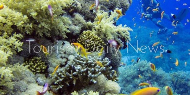 الأردن يقدم ملف محمية العقبة البحرية لإدراجها على لائحة التراث العالمي