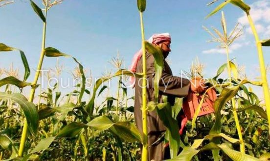 برنامج الريف السعودي يعلن إطلاق برنامج السياحة والتنمية لتعزيز الزراعة