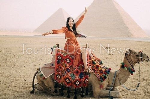 الجيزة تكشف عن أنشطة ثقافية وترفيهية وسلع بأسعار مخفضة لخدمة المواطنين