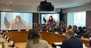 مصر تكشف عن آليات خفض المخاطر كمتطلب أساسي لجذب رؤوس الأموال الخاصة