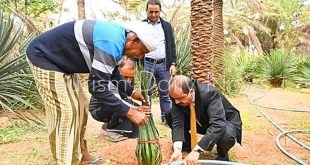 وزير السياحة اليمني يزور مشتل أديب للنباتات المتوطنة بمحافظة أرخبيل سقطرى