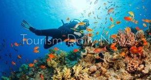 سياحة الغوص