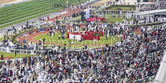 170 دولة تنقل سباق كأس دبي العالمي للخيول مضمار ميدان السبت المقبل