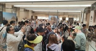 أهرامات الجيزة تستقبل 15 ألف زائر وتشغيل ماكينتين خدمة ذاتية لشراء تذاكر