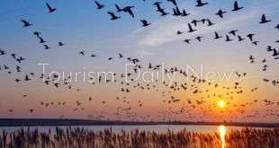 مسارات هجرة الطيور بخليج السويس والحفاظ على التنوع البيولوجي