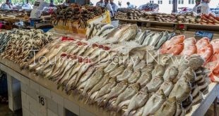 ارتفاع أسعار الأسماك في مصر .. البلطي 100 جنيه والجمبري بـ 360 والسبيط 354