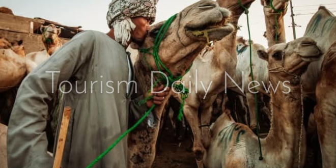 تورزم ديلي نيوز في قلب أكبر أسواق الجمال بمصر .. برقاش بين الزحمة والهيبة