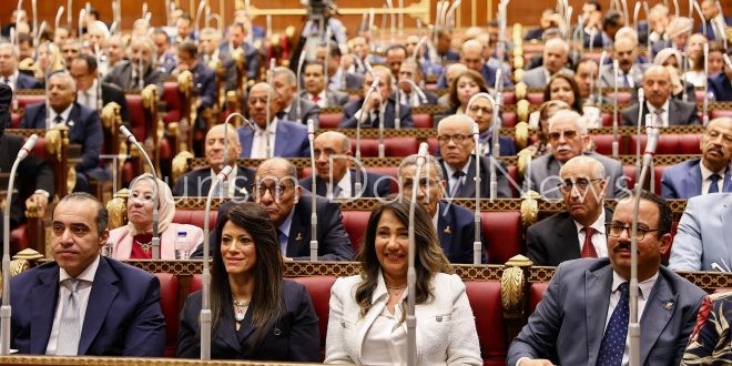 مجلس الشيوخ يوافق على خطة التنمية الاقتصادية للعام المالي 25/2026