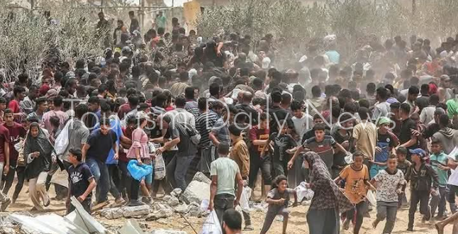 غزة الوجه المأساوي للسياحة .. عندما تتحول أرض الحضارة إلى خريطة نزوح وألم