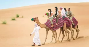 80 شركة تنظم 300 رحلة صحراوية لـ 20 ألف سائح خلال النصف الأول من 2025