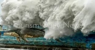 ماندارين إيرلاينز تستأنف رحلاتها في تايوان بعد توقف بسبب إعصار داناس