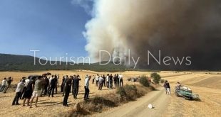 حريق غابات غايفة بولاية صقاريا يخرج عن السيطرة