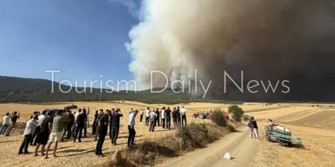 حريق غابات غايفة بولاية صقاريا يخرج عن السيطرة