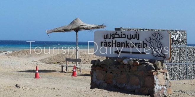 رأس حنكوراب على ساحل البحر الأحمر .. بيئة بكر وسلاحف خضراء مهددة بالانقراض