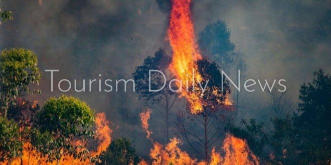 أكبر حريق غابات في فرنسا منذ عقود .. النيران تمتد 160 كيلومترًا مربعًا