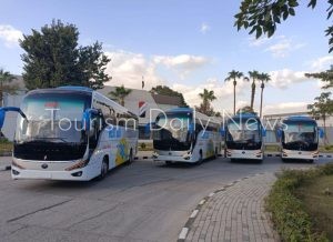 مصر تعلن توطين صناعة السيارات وعودة قوية للنصر بأتوبيسات سكاي وستار وجرين