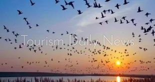 وداعاً أسراب الطيور المهاجرة .. قرى ديالى تحولت لمسطحات قاحلة بسبب المناخ