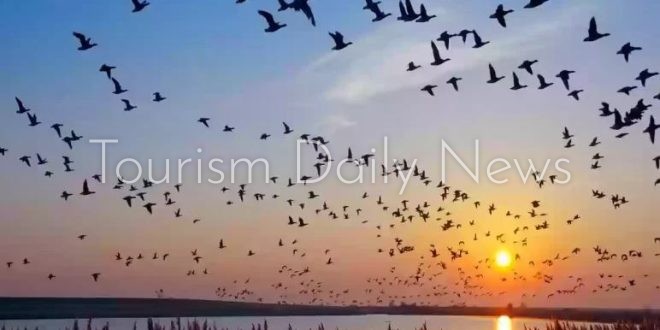 وداعاً أسراب الطيور المهاجرة .. قرى ديالى تحولت لمسطحات قاحلة بسبب المناخ