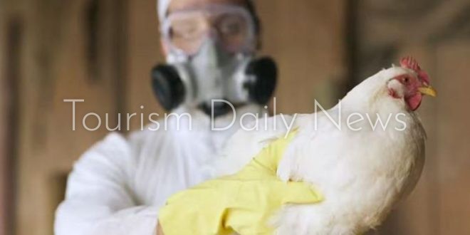 كوريا الجنوبية تسجل أول حالة إصابة بإنفلونزا الطيور شديدة العدوى هذا العام