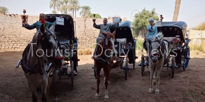 الأقصر تكرم أفضل 10 خيول حنطور في مبادرة لتعزز الهوية السياحية