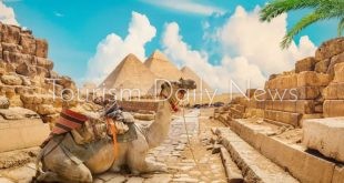 ارتفاع الطلب العالمي على مصر وتعافي السياحة وعودة الاستثمارات التوسعية