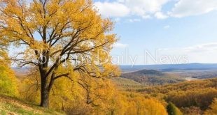 انتكاسة كبيرة لموسم تساقط أوراق الأشجار في فرجينيا بسبب الإغلاق