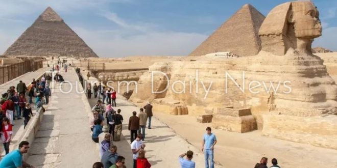 ترافكو تطلب تنفيذ أنشطة ترويجية لزيادة الطلب من السوق الألماني لمصر