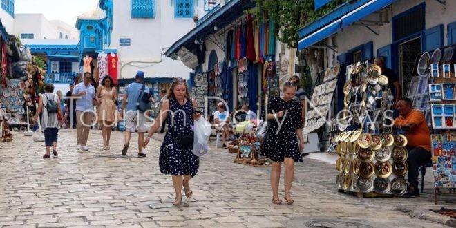 11 مليون سائح زاروا تونس منذ بداية 2025 .. وسفيان تقية : تعيش محطّة مفصلية