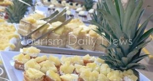 فنادق الغردقة تنظم مهرجان الأناناس بحضور كبير للسياح بمشاركة 12 شيفاً