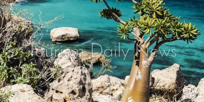 الخارجية الأمريكية تحذر مواطنيها من السفر إلى جزيرة سقطرى اليمنية