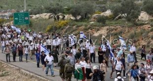 مئات السياح معلقون في سقطري بسبب اشتباكات الإنفصاليين المرتبطين بالإمارات