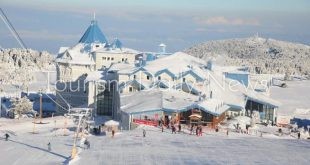 السياحة الشتوية تتحول إلى أبرز محركات القطاع في تركيا وتوسيع خدمات السياح