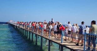 اشغالات فنادق القاهرة 90% والغردقة 93% ووصول 184 طائرة لمرسى علم