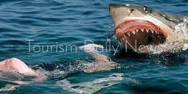 سمكة قرش تلتهم سائحة على شاطئ دورش في سانت كروا