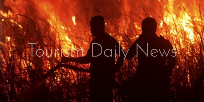 حرائق الغابات تجبر إقليم كاليمنتان الإندونيسي على فرض حالة الطوارئ