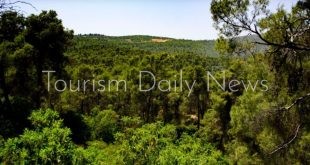 منتجات الشمع تسوق في دكاكين الطبيعة.. برامج سياحية بيئية لحماية غابات دبين