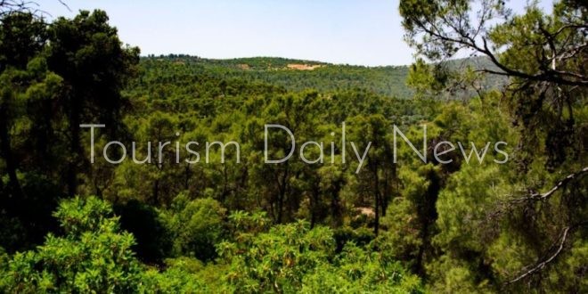 منتجات الشمع تسوق في دكاكين الطبيعة.. برامج سياحية بيئية لحماية غابات دبين