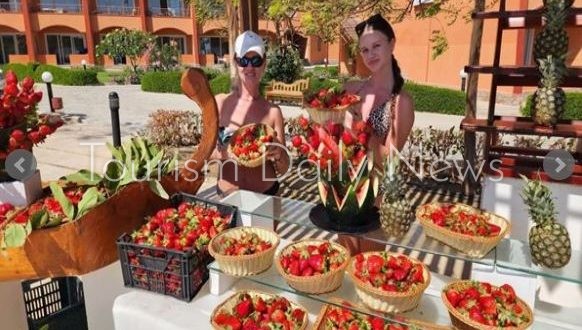 فنادق مرسى علم تنظم مهرجان الفراولة لإنعاش الحركة السياحية على الشواطئ
